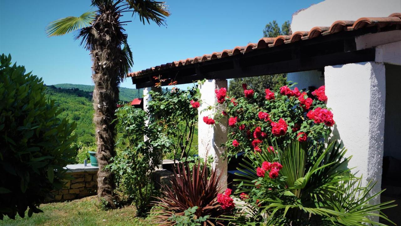 Apartments Garden Motovun Esterno foto