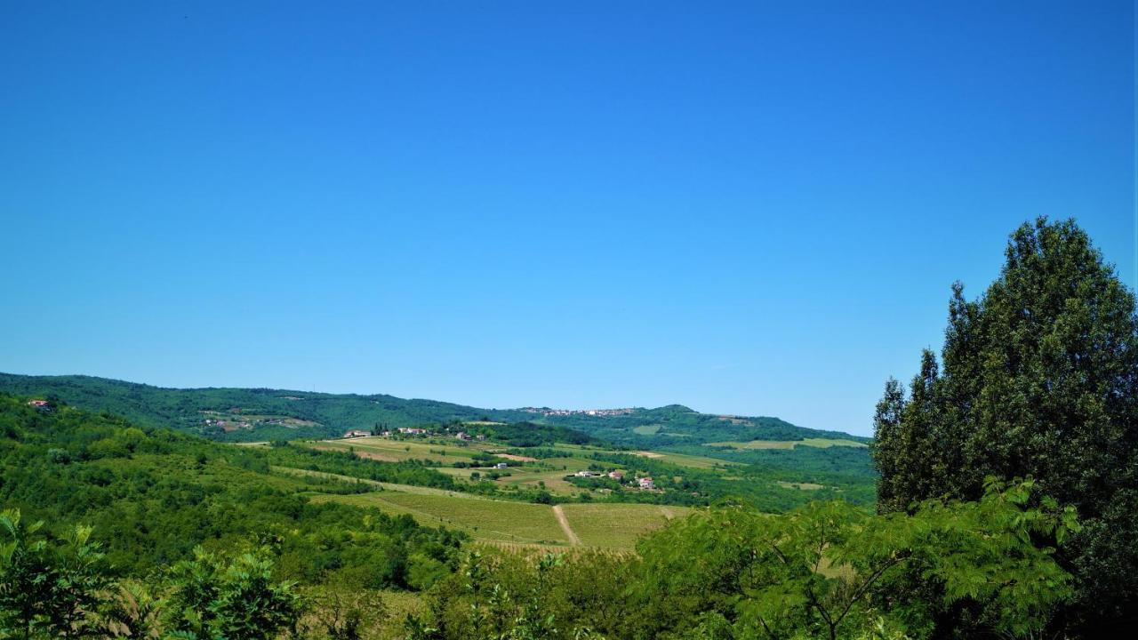 Apartments Garden Motovun Esterno foto