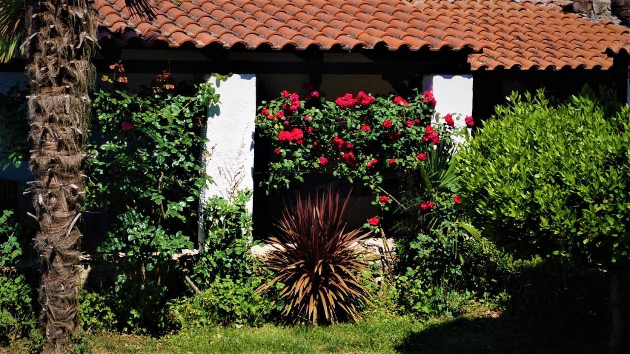Apartments Garden Motovun Esterno foto